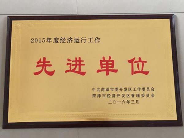 2015年度经济运行工作先进单位